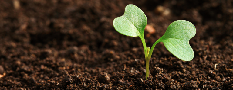 banner1